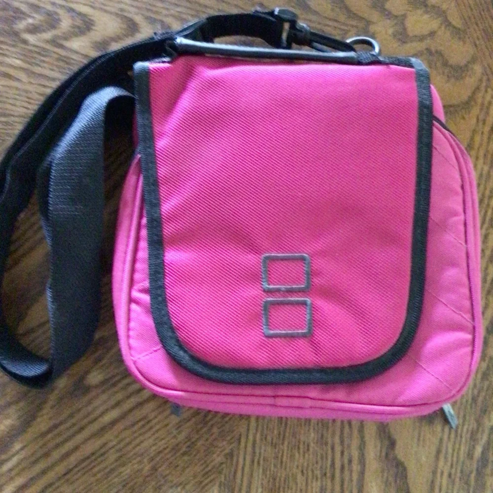 Nintendo handheld game carrying case